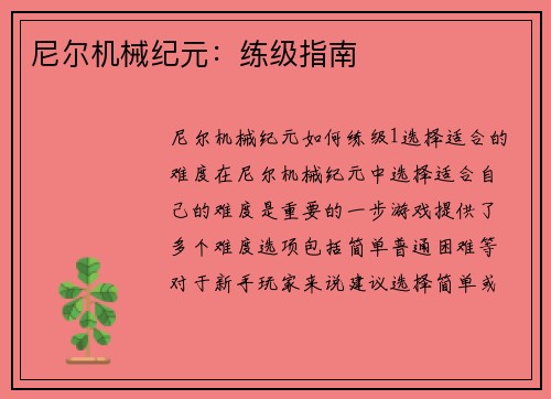 尼尔机械纪元：练级指南
